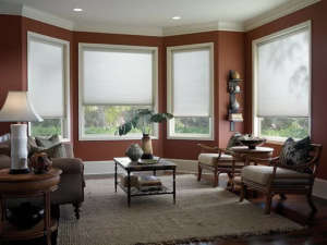 CELLULAR 2 CELLULAR shades