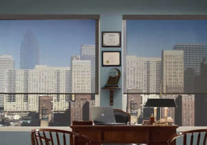 roller shade 1 roller shade